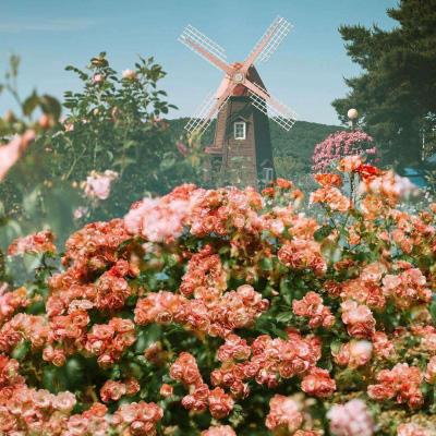 万博体育App全站下载