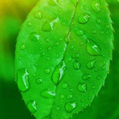 一肖三码下载手机版