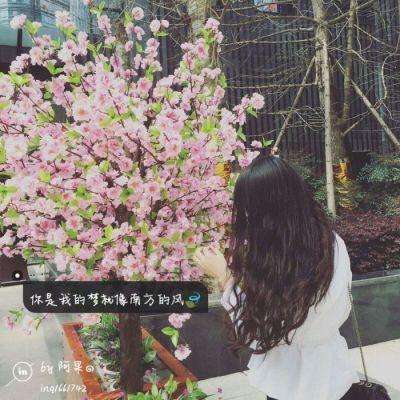 一分三快app截图